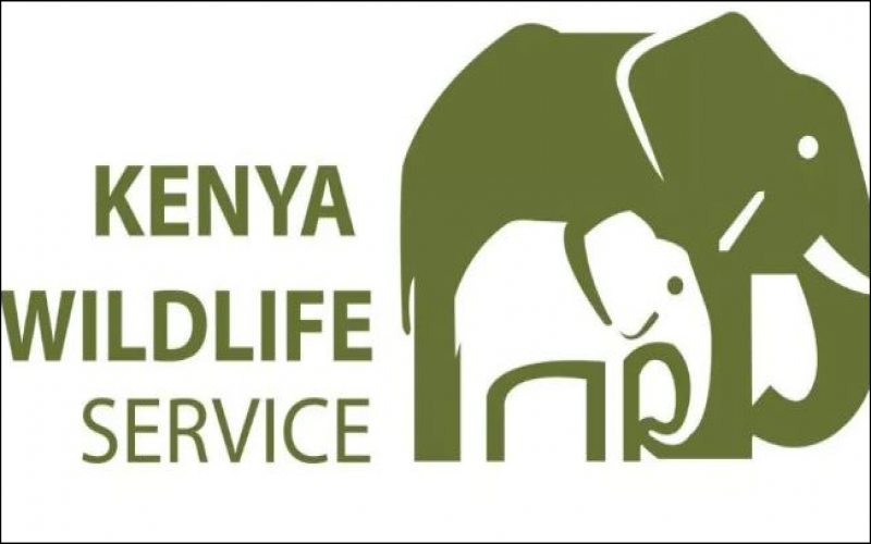 KENYA WILDLIFE SERVICE TENDER 2020  