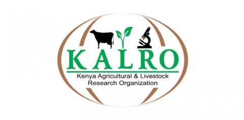 TENDER FOR PROVISION OF STAFF MEDICAL INSURANCE COVER 2024 - KALRO ...